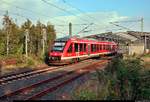 648 957-8 (Alstom Coradia LINT 41) von DB Regio Schleswig-Holstein (DB Regio Nord) als RE 21228 (RE74) von Kiel Hbf nach Husum verlässt den Bahnhof Rendsburg auf der Bahnstrecke Husum–Kiel (KBS 134).
Aufgenommen von Bahnsteig 1/2.
(verbesserte Version mit erneutem Weißabgleich)
[3.8.2019 | 19:36 Uhr]