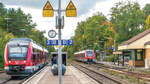 Anschluss in Neunkirchen am Sand am 15.10.25: 648 303 fuhr als RB nach Hersbruck auf Gleis 3 ein, w�hrend 622 547 aus Simmelsdorf in Gleis 1 auf Hp2 nach N�rnberg weiter fuhr.