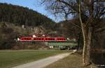 DB 648 818 als RB 58569 Nrnberg - Neuhaus, KBS 860 Nrnberg - Pegnitz - Hof / Cheb, fotografiert auf der Pegnitzbrcke in Artelshofen zwischen Velden und Hersbruck am 29.03.2011