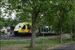 Halt im Grünen -

Haltepunkt Gießen - Licher Straße an der Bahnstrecke Fulda - Gießen.

02.07.2016 (M)