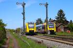 HLB Alstom Lint 41 VT604 und VT626 in Ober-Widdersheim am 27.04.25