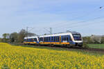 VT 648 431 und VT 648 430 (RheinRuhrBahn) als RE10 Richtung D�sseldorf Hbf in Meerbusch B�singhoven, 8. April 2026