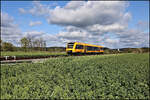 Ein Coradia Lint der Oberpfalzbahn ist hier am 20.4.2026 um 10.09 Uhr bei Wenzenbach nach Regensburg unterwegs.