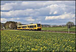 Ein Doppelzug der Oberpfalzbahn mit vorn dem VT 648202 ist hier am 20.4.2026 um 15.12 Uhr bei Wenzenbach nach Regensburg unterwegs.