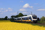 Vom Schatten ins Licht: RE10 Richtung D�sseldorf Hbf in Meerbusch B�singhoven, 21. April 2026