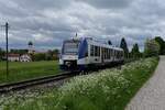 648 311 am 14.05.26 bei Paar