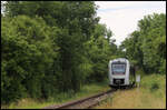 VT 648405 ist hier bei Km 10,5 am 20.06.2026 um 10.49 Uhr kurz vor dem Bahnhof Langenstein als RE 31 nach Magdeburg unterwegs.