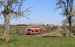 650 101-8 als RB 17931 (Pforheim Hbf-Horb) bei Eutingen 27.4.21