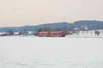 Zwei 650 als RB, Sigmaringen - Ulm Hbf, bei Tannheim.