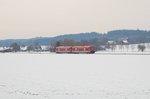 Zwei 650 als RB, Sigmaringen - Ulm Hbf, bei Tannheim. 28.02.2016