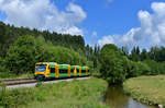 650 070 + 650 075 am 02.07.2017 bei Ruhmannsfelden.