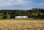 Ein AG 650 fährt durch den Herbst in Oberfranken.