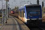 ANGERMÜNDE (Landkreis Uckermark), 15.10.2019, VT 018 der Niederbarnimer Eisenbahn als RB62 nach Prenzlau bei der Ausfahrt aus dem Bahnhof Angermünde