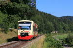 VT 231 als HzL69833 (Rottweil-Immendingen) bei Möhringen 8.8.20