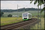 Begegnung zweier Triebwagen der Erfurter Bahn in der langgezogenen Kurve bei Geiersberg am 25.6.2021 um 15.03 Uhr.