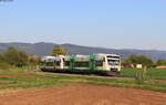 VT 019 und VT 520 als SWE 88597 (Bad Griesbach - Offenburg) bei Appenweier 28.4.22