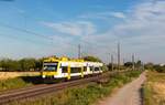 VT 522 und VT 539 als SWE 87361 (Offenburg - Hornberg) bei Gengenbach 14.8.22