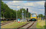 Im Bahnhof Lübz wartet VT 650.091 der ODEG am 30.08.2025 auf die Kreuzung mit dem Gegenzug.