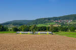 650 719 agilis und 650 736 agilis als ag 84461 (Forchheim - Ebermannstadt) bei Pretzfeld, 05.09.2021