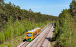 650 669 und 650 664 als OPB 79774 (Furth im Wald - Schwandorf) im Bahnhof Wackersdorf 30.4.26
