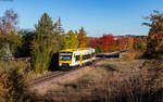 VT 245 als SWE 69853 (Villingen - Rottweil) bei Marbach 27.10.26
