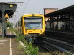 Das Gras auf dem Bahnhof Berlin-Schneweide wchst schon so hoch das der Verkehr der ODEG nur zweitrangig bei diesem Bild vom 07.08.09 erscheint.