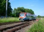 VT 650.07 auf der Strecke PE53 der PEG (Prignitzer Eisenbahn)als
Regio #80193 8.51 Uhr in Wildberg zwischen Neustadt(Dosse) und
Neuruppin Sa 10.06.2006