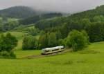 VT 650 726 bei einer Sonderfahrt auf der Ilztalbahn von Freyung nach Passau am 01.06.2013 bei Werenain.