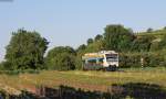 VT 006 als SWE88920 (Gottenheim-Riegel am Kaiserstuhl Ort) bei Bötzingen 16.6.14