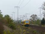 Macht bei jedem Wetter einen guten Eindruck: Ein Regioshuttle der ODEG. Mit der naturnahen Farbgebung finde ich, dass diese Züge tatsächlich immer ein Blickfang sind - egal ob es blüht, schneit oder langsam der Herbst einzieht. 25.10.2014, Wuhlheide