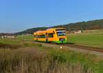 650 662 (VT 27) als RB nach Lam am 14.11.2014 bei Beckendorf. 