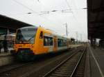 Am 28.12.2015 fuhr 650 739 auf der RB 34 von Stendal nach Rathenow.