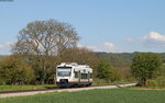 VT 503 als SWE74220 (Breisach-Riegel-Malterd.NE) bei Sasbach 29.4.16