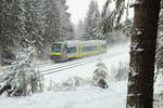 Winterwetter am 08.01.2022 bei Rößlau, mit der Agilis BR 650 nach Coburg.