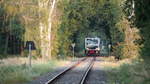 672 915 fährt als DWE 27763 durch das  Biosphärenreservat Mittelelbe  dem nächsten Bedarfshalt, Dessau-Adria, entgegen.

Dessau, der 11.09.2020