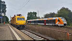 Wegen Bauarbeiten zwischen Halle(Saale)Hbf und Halle-Trotha gab es Mitte September Schienenersatzverkehr.