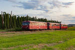 Burgstall 20.08.2017  Sonderfahrten mit dem VT 98 der Passauer Eisenbahnfreunde anlässlich des 150jährigen Jubiläums des Bahnhofs Rohrbach (Ilm) nach Wolnzach Markt und zurück