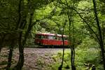 Oberhalb von Kasbach führt die Strecke durch dichtes Grün, das nur wenige Fotomöglichkeiten zulässt, hier ist 798 729-0 oberhalb der Haltestelle Brauerei Steffens am 07.08.2021