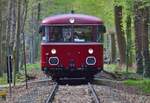 Auf der Rückfahrt aus Frechen fing ich die Schienenbus Garnitur im Kölner Stadtwald ab.