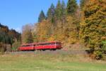 Das Rodachtal öffnet sich zwischen Dürrenwaid und Mauthaus etwas und bot am 18.10.2025 in der herrlichen Herbstsonne ein perfektes Fotolicht.
Der 998 744 und der 798 731 der  Eisenbahnfreunde Rodachtalbahn e. V.  rollen hier ihrem Ziel Steinwiesen entgegen.