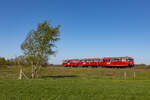 Der EVB Moorexpress bei Worpswede nach Worpswede am 1.5.26. Triebwagen: 796 828, 998 915, 996 777