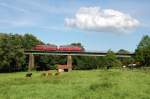 VT 98 am 26.07.2009 auf der Brcke vor Frstenzell