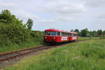 798 309-0 und 789 308-2 der Angelner Dampfeisenbahn sind auf dem Weg von Kappeln nach Süderbrarup. Hier erreichen die beiden Schienenbusse Süderbrarup. (29.05.2022)