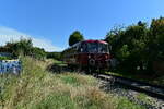 Auf seinem Weg nach Neckarbischofsheim Nord hat der Rote Flitzer 798 081 gerade den Bahnsteig des Haltepunktes Helmhof ohne Halt passiert und fährt nun gen Neckarbischofsheim Stadt am Sonntag den