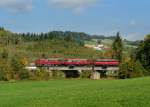 Der Schienenbus 998 840 + 798 776 + 798 706 der Passauer Eisenbahnfreunde bei einer Sonderfahrt auf der Ilztalbahn am 03.10.2012 unterwegs bei Rhrnbach.