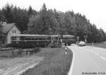 Schienenbus am 13.5.94 auf dem Bahnbergang der Strae nach Bromberg.