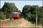 Wie schon in den vergangenen Jahren setzte die PRESS auch in diesem Sommer 2013 an 2 Wochenenden Triebwagen der Baureihe 172 auf der Strecke von Bergen nach Lauterbach Mole im Plandienst ein.