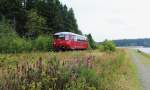 Am 25.08.13 fuhr das Ferkel (171 056-5) wieder von Adorf nach Muldenberg und zurck.