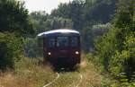 Voll im Gegenlicht kam 171 056-5 auf der letzten Fahrt des Tages am 10.08.2013 kurz vor 18.00 Uhr aus Richtung Schleiz daher.
Die Wisentatalbahn verluft durch viele Wiesen und Wlder und die Strecke und die Natur haben sich an manchen Stellen schon angepasst.
Die Ferkeltaxe befindet sich hier zwischen Schleiz und Wstendittersdorf an der Holzmhle.
Bahnstrecke 6656 Schnberg - Schleiz