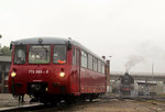 LVT 772 345-5 der Wisentatalbahn war bei 4.